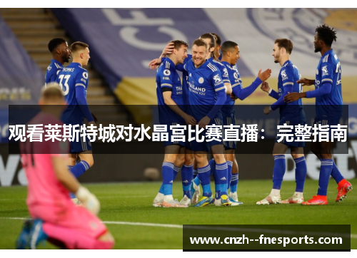 观看莱斯特城对水晶宫比赛直播：完整指南