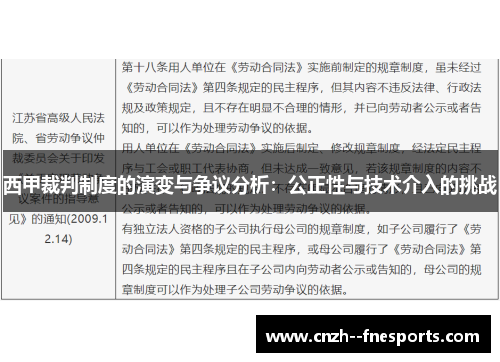 西甲裁判制度的演变与争议分析：公正性与技术介入的挑战