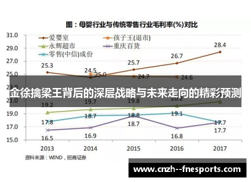 金徐擒梁王背后的深层战略与未来走向的精彩预测